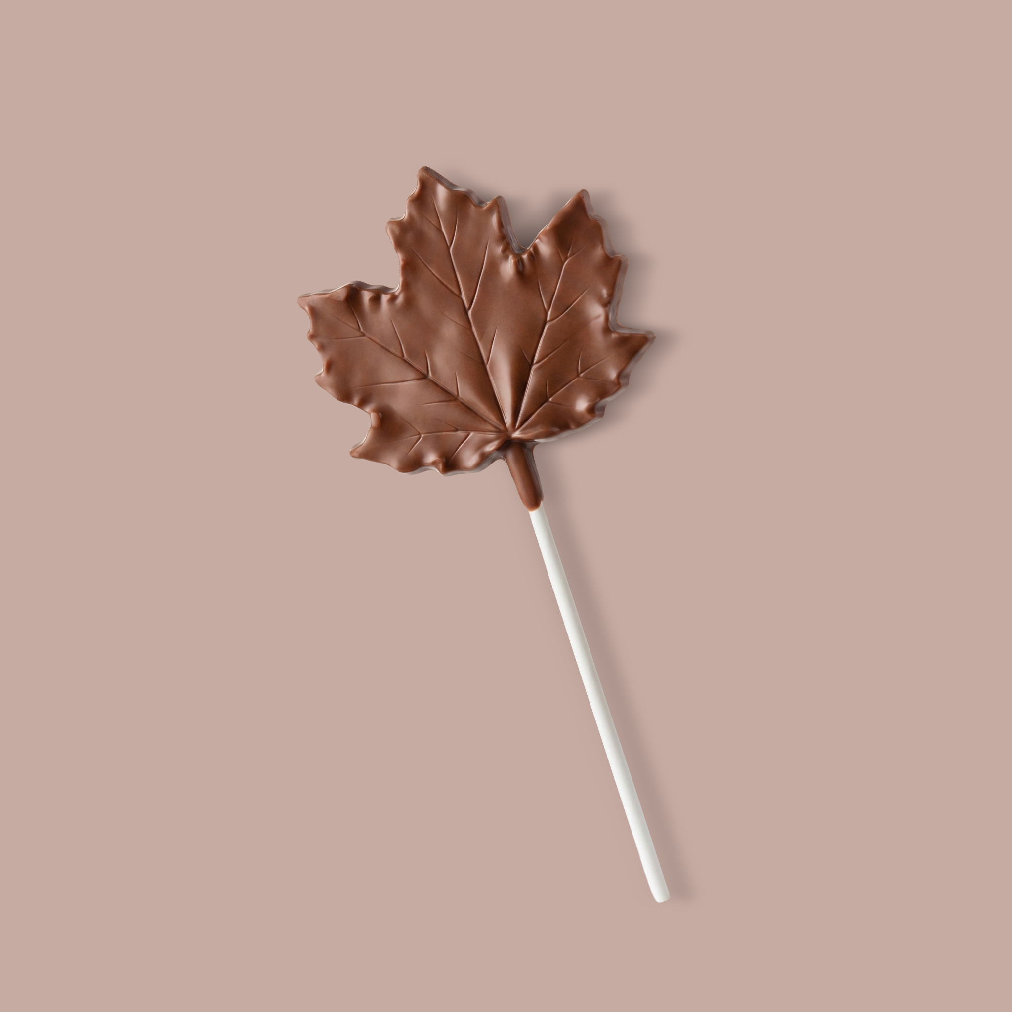 Maple Leaf Loli With Maple Sugar 50g